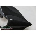 Carbonvani - Ducati Panigale / Streetfighter V4 / V2 / S / R / Speciale Carbon Fiber Tail - Road Version Carbonvani - Ducati Panigale / Streetfighter V4 / V2 / S / R / Speciale Carbon Fiber Tail - Road Version
